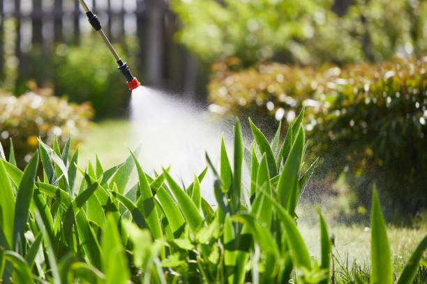 24/7 Emergency Ant Control experts in Irwin, SC